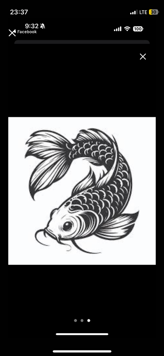 Custom koi fish livery transparent background